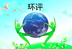 環(huán)境影響評(píng)價(jià)文件涉及弄虛作假等行為的，需要承擔(dān)哪些后果？